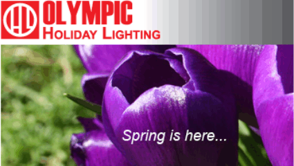 Olympic Holiday Lighting